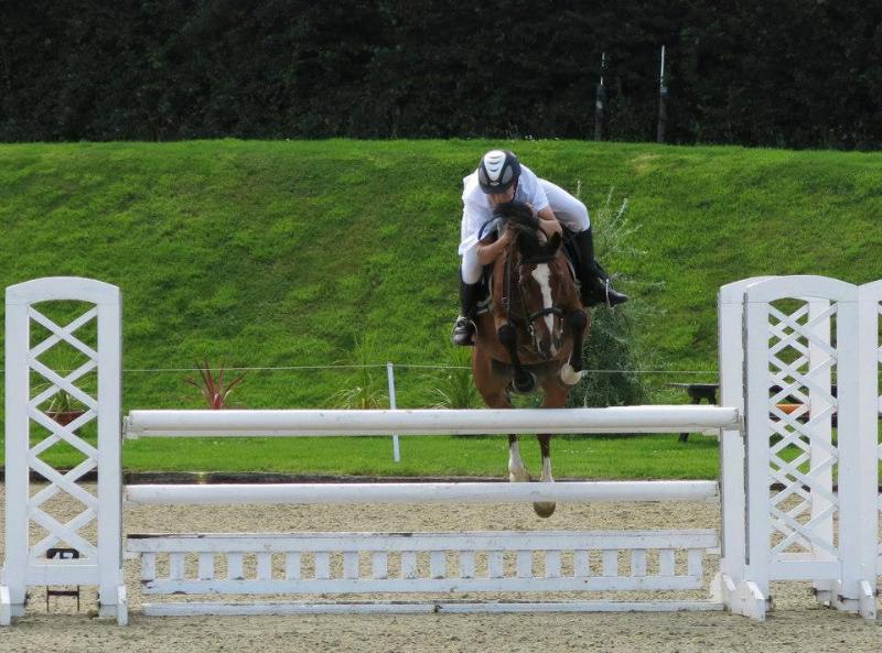 BS SHOWJUMPING PONY (HEARTBREAKER X VOLTAIRE)