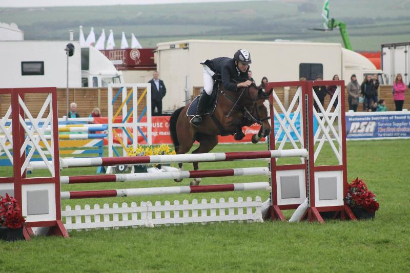 BS SHOWJUMPING PONY (HEARTBREAKER X VOLTAIRE)