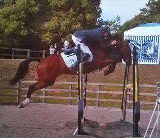 BS SHOWJUMPING PONY (HEARTBREAKER X VOLTAIRE)