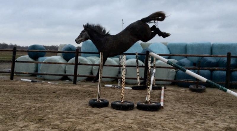 SUPER QUALITY JUMP! Quality Time x Casco x Heartbreaker