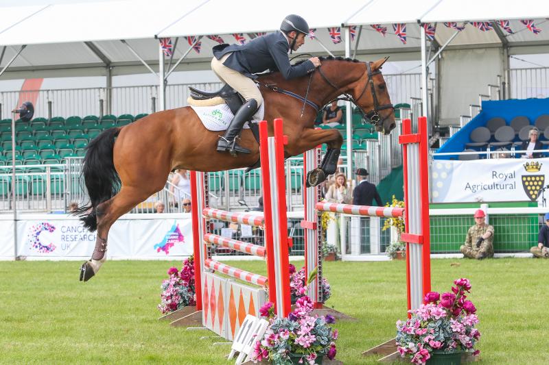 Super jumper by Calvaro Z, out of the international mare Marleen ridden by Geoff Luckett