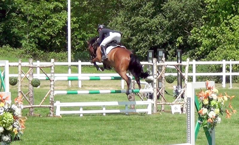 Super jumper by Calvaro Z, out of the international mare Marleen ridden by Geoff Luckett