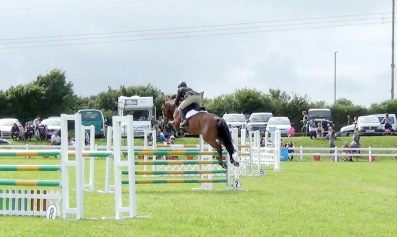 Super jumper by Calvaro Z, out of the international mare Marleen ridden by Geoff Luckett