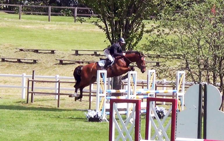 Super jumper by Calvaro Z, out of the international mare Marleen ridden by Geoff Luckett