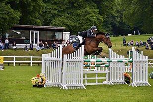 Super jumper by Calvaro Z, out of the international mare Marleen ridden by Geoff Luckett