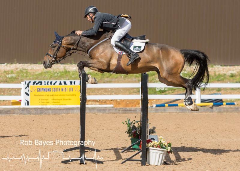 Competitive and consistent showjumper 8yo with many wins at 120 and 130.