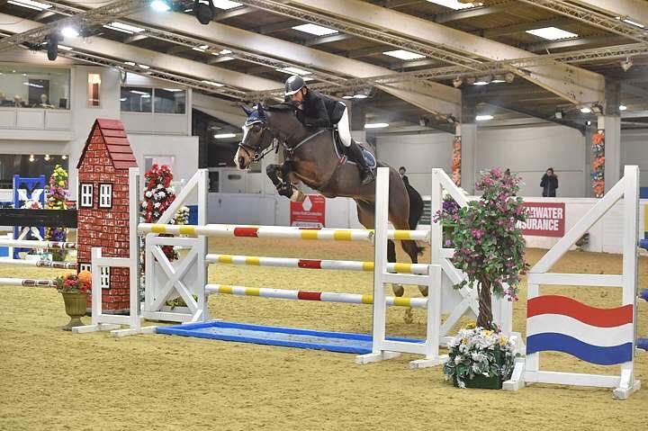 Competitive and consistent showjumper 8yo with many wins at 120 and 130.