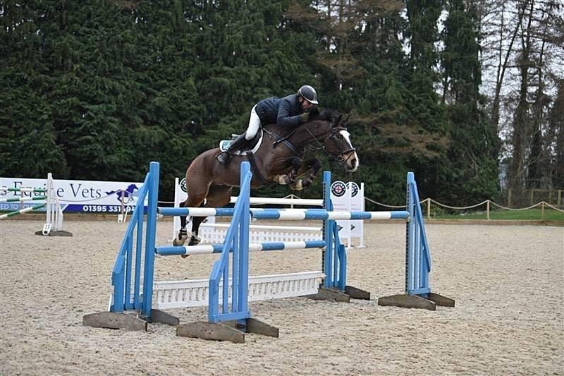 Competitive and consistent showjumper 8yo with many wins at 120 and 130.