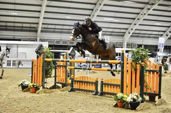 Grade A 150 Horse by  L'ESPIT X NUMERO UNO