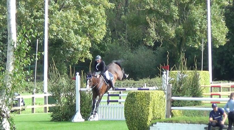 Grade A 150 Horse by  L'ESPIT X NUMERO UNO