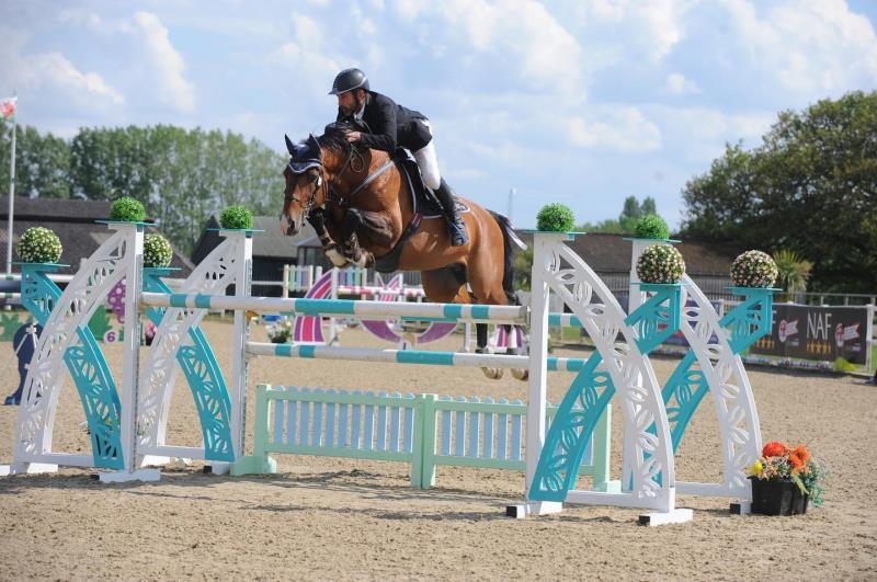 2019 Stunning filly by High Hopes Condor (Caretino x Capitol) x Ustinov x Animo x Concorde