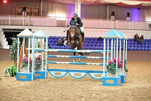 2019 Stunning filly by High Hopes Condor (Caretino x Capitol) x Ustinov x Animo x Concorde