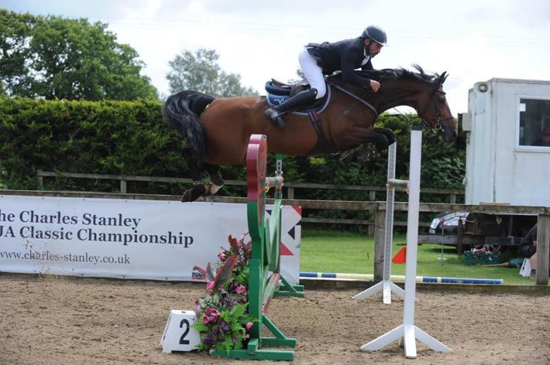 9yo Balwin B x Faram Top Professional or Young Riders Horse