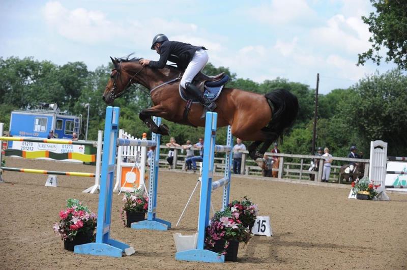 9yo Balwin B x Faram Top Professional or Young Riders Horse