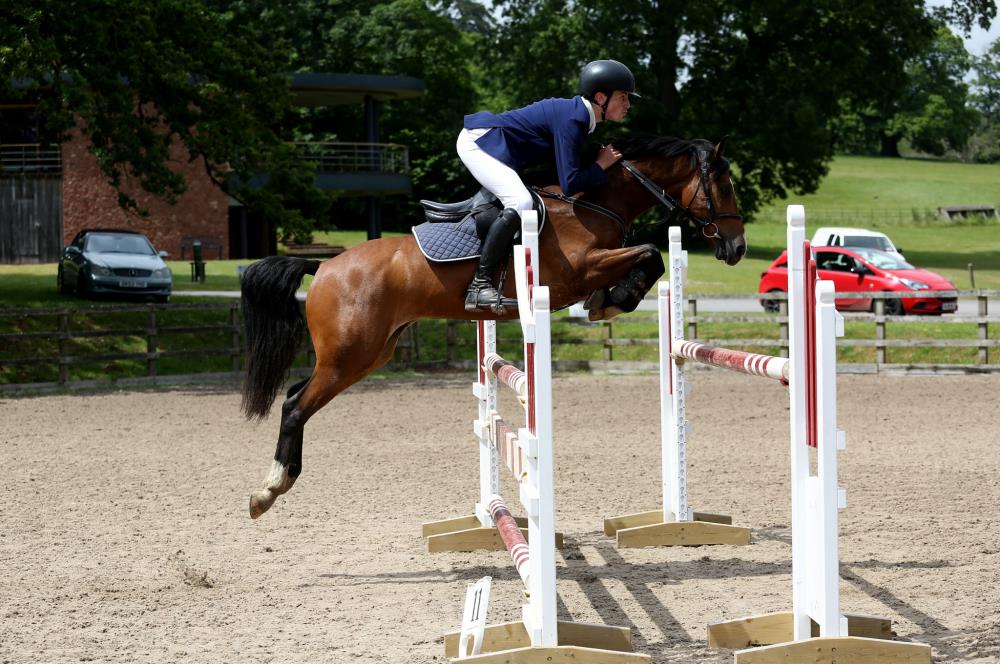 If you are looking for a 148 serious competition pony