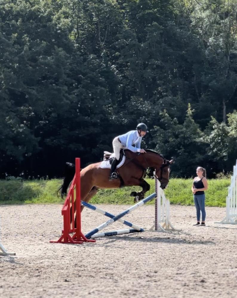 5yo gelding by Condor (Caretino x Capitol I) x Hemmingway x Animo