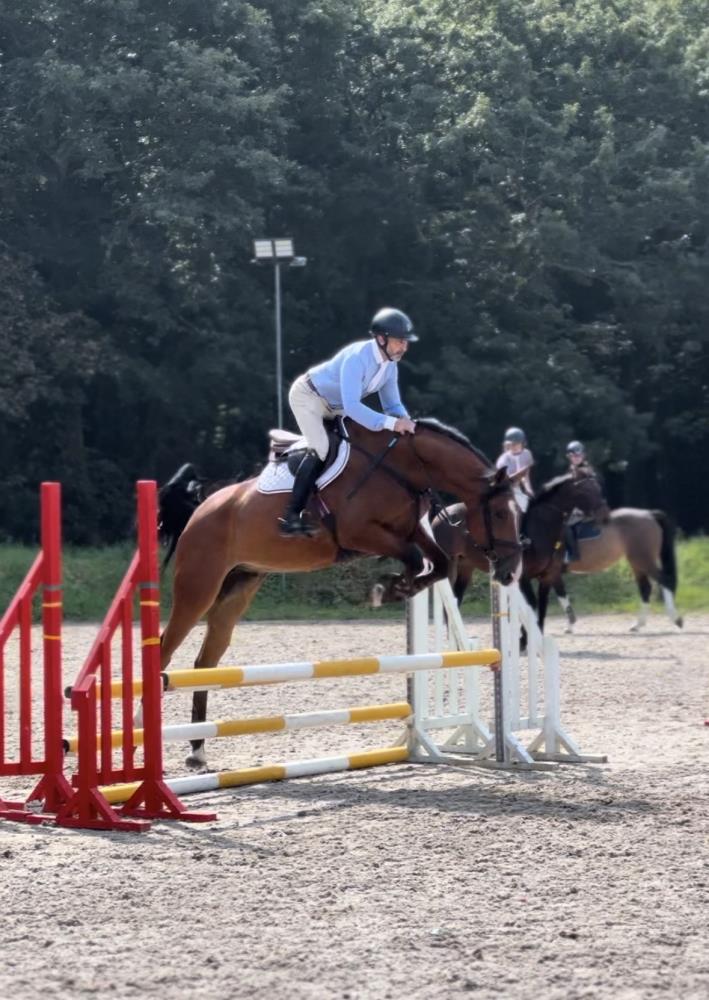 5yo gelding by Condor (Caretino x Capitol I) x Hemmingway x Animo